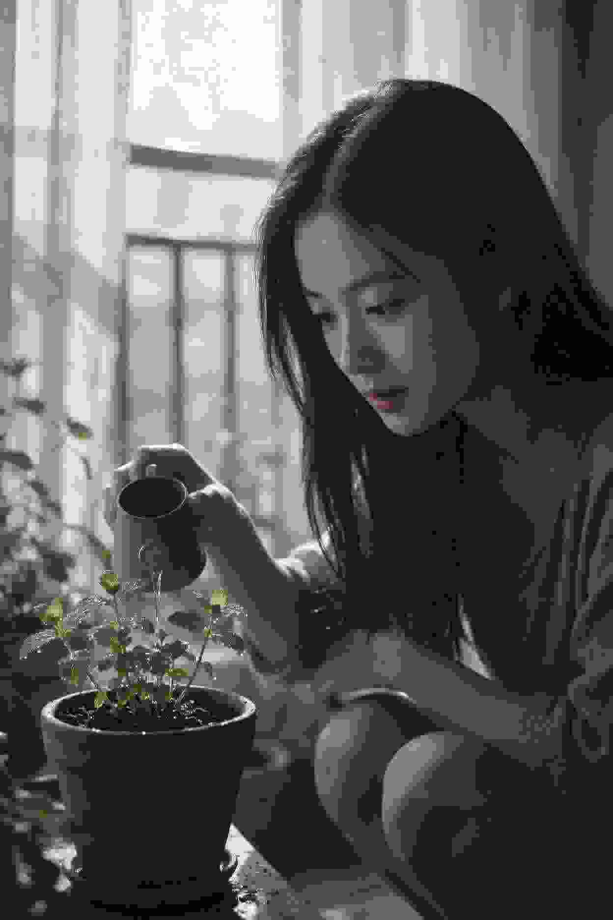 复仇计划
